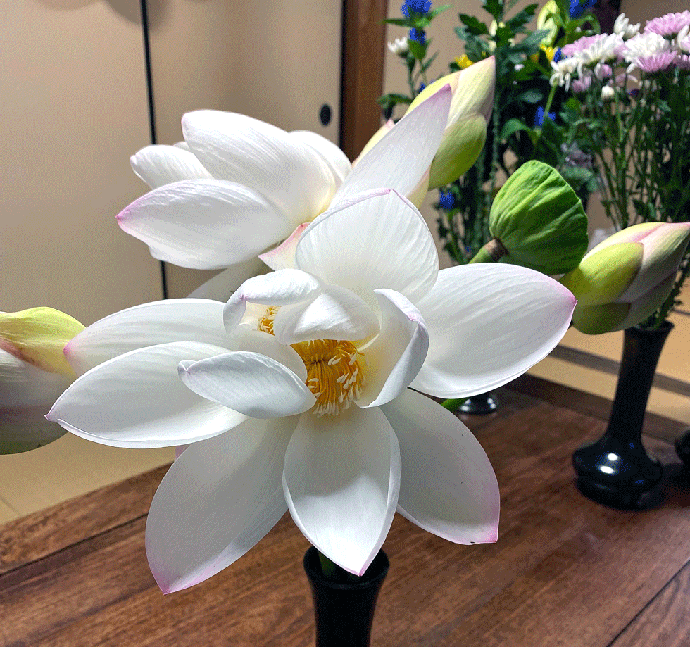 お盆の総供養
