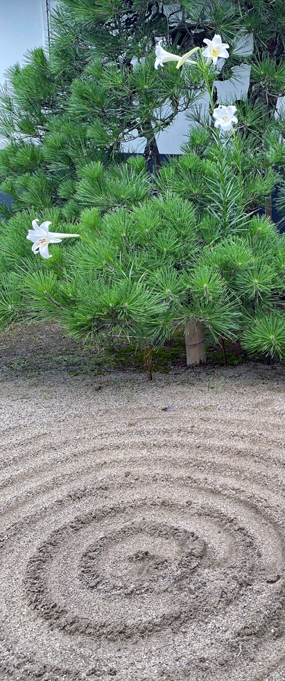 お盆供養